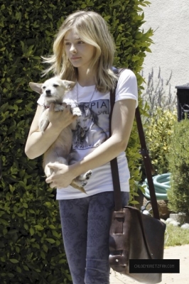 chloemoretzfancom14.jpg