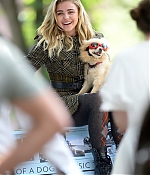 Filename=338~6.jpg
Filesize=122KiB
Dimensions=402x604
Date added=Aug 17, 2016 338~6.jpg