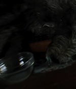 Greta_2018_28270829.JPG