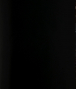 Greta_2018_2859329.JPG