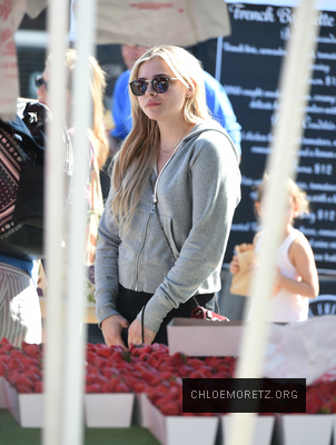 Chloe_2811229.jpg