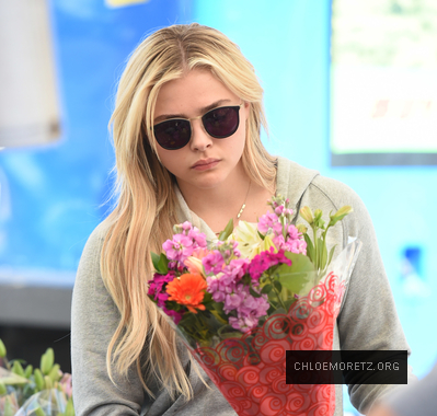 Chloe_2816629.jpg