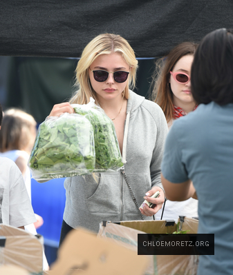 Chloe_288029.jpg