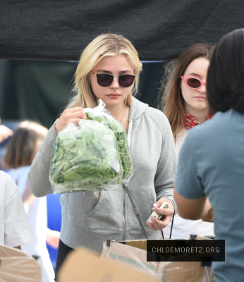 Chloe_288129.jpg