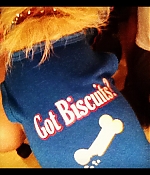 Filename=502~2.jpg
Filesize=175KiB
Dimensions=612x612
Date added=Jun 25, 2017 502~2.jpg