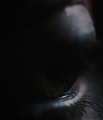 T5W_28113529.JPG