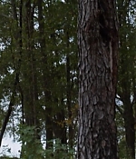 T5W_28144029.JPG