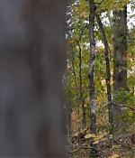 T5W_28169029.JPG