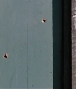 T5W_2874929.JPG