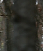 T5W_2885229.JPG