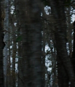 T5W_2887029.JPG